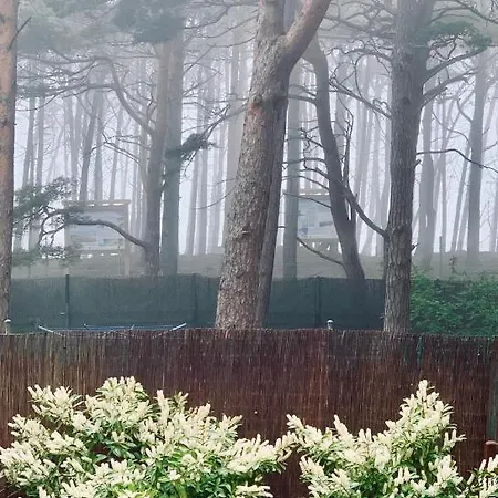 Appartement Przy Plazy -pelikan Dźwirzyno