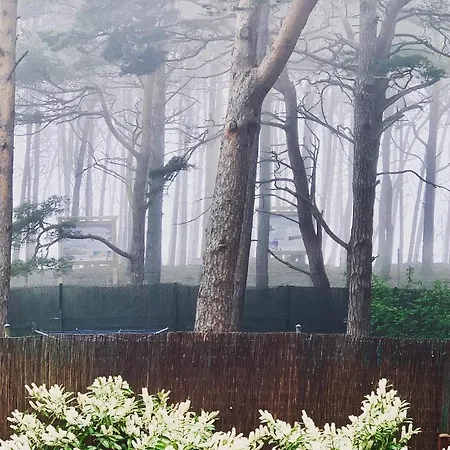 Przy Plazy -pelikan Apartman