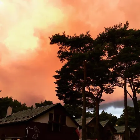 Przy Plazy -pelikan * Dźwirzyno