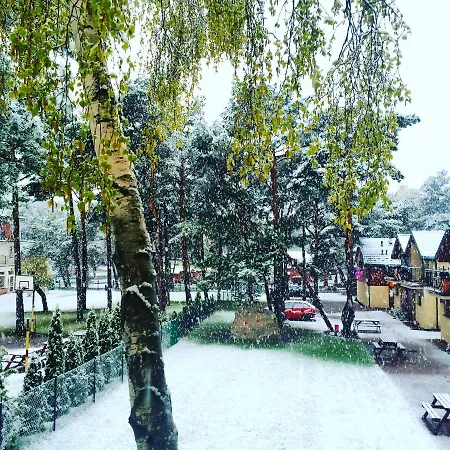 Przy Plaży -pelikan
