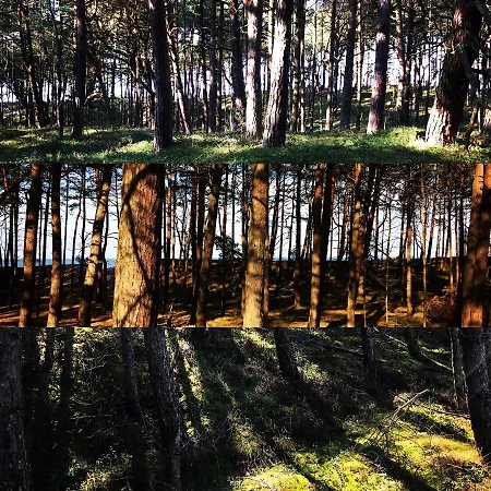 Appartement Przy Plazy -pelikan